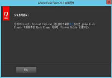 Windows Server 2016、2019顯示啟用Flash